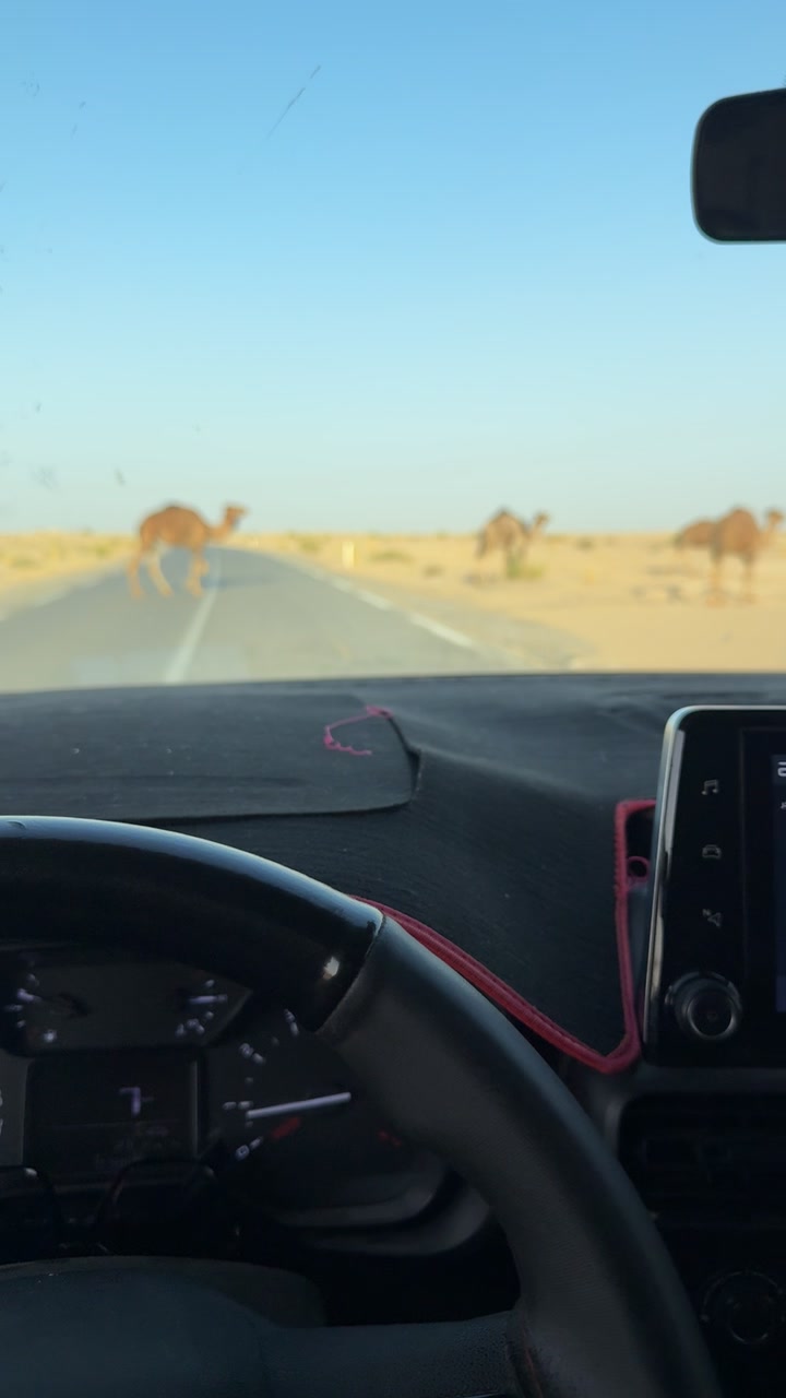 @محمد الشريف