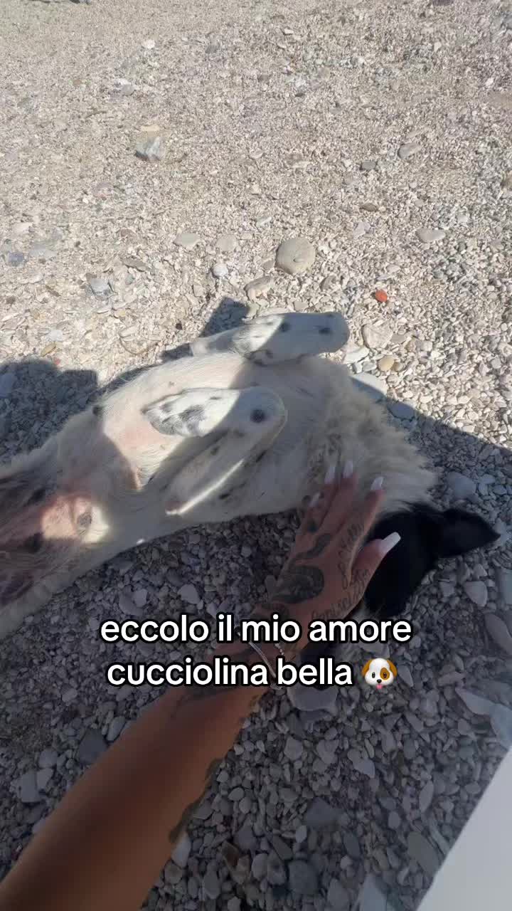 @Alessia 🙈🙉🙊