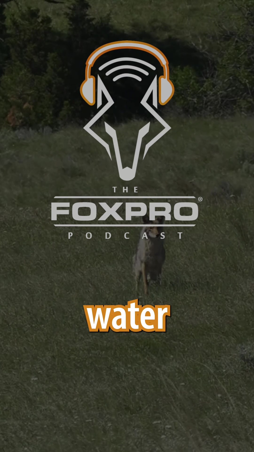 @FOXPRO Game Calls
