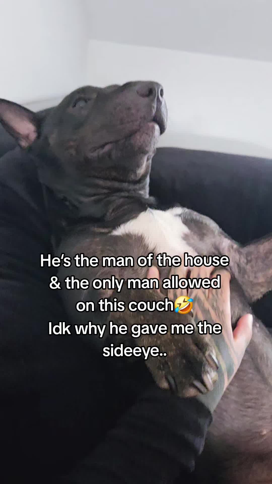 @Daughter_of_Darkness