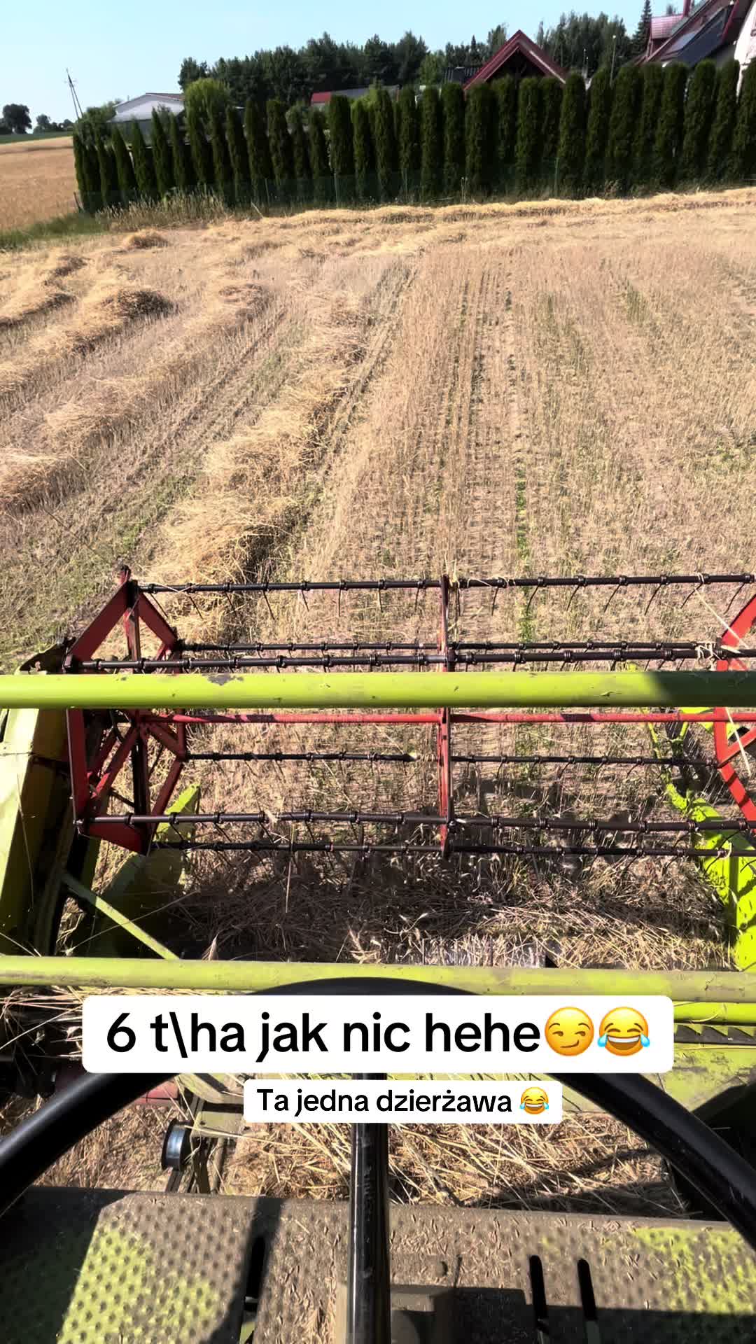 @Ig: iwanskih