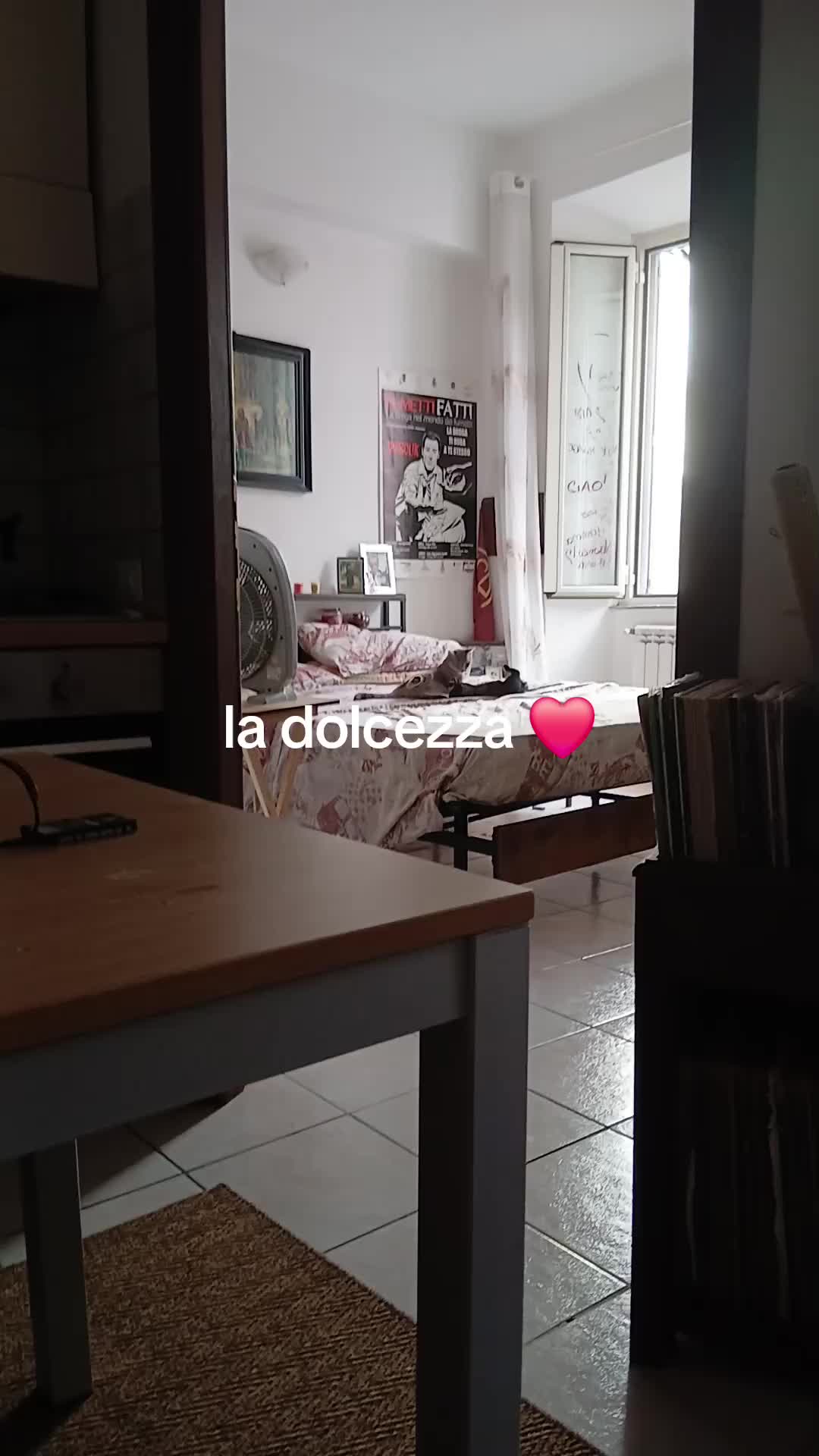 @Veronica Ridoni