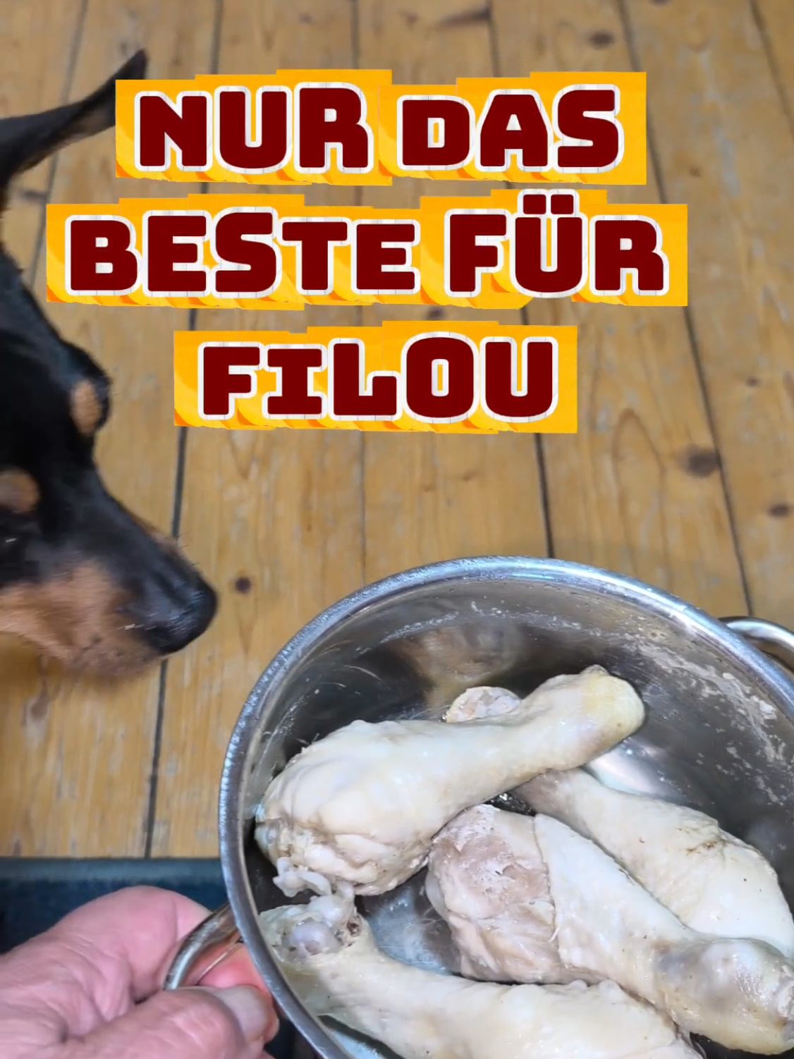 @ICH BIN'S