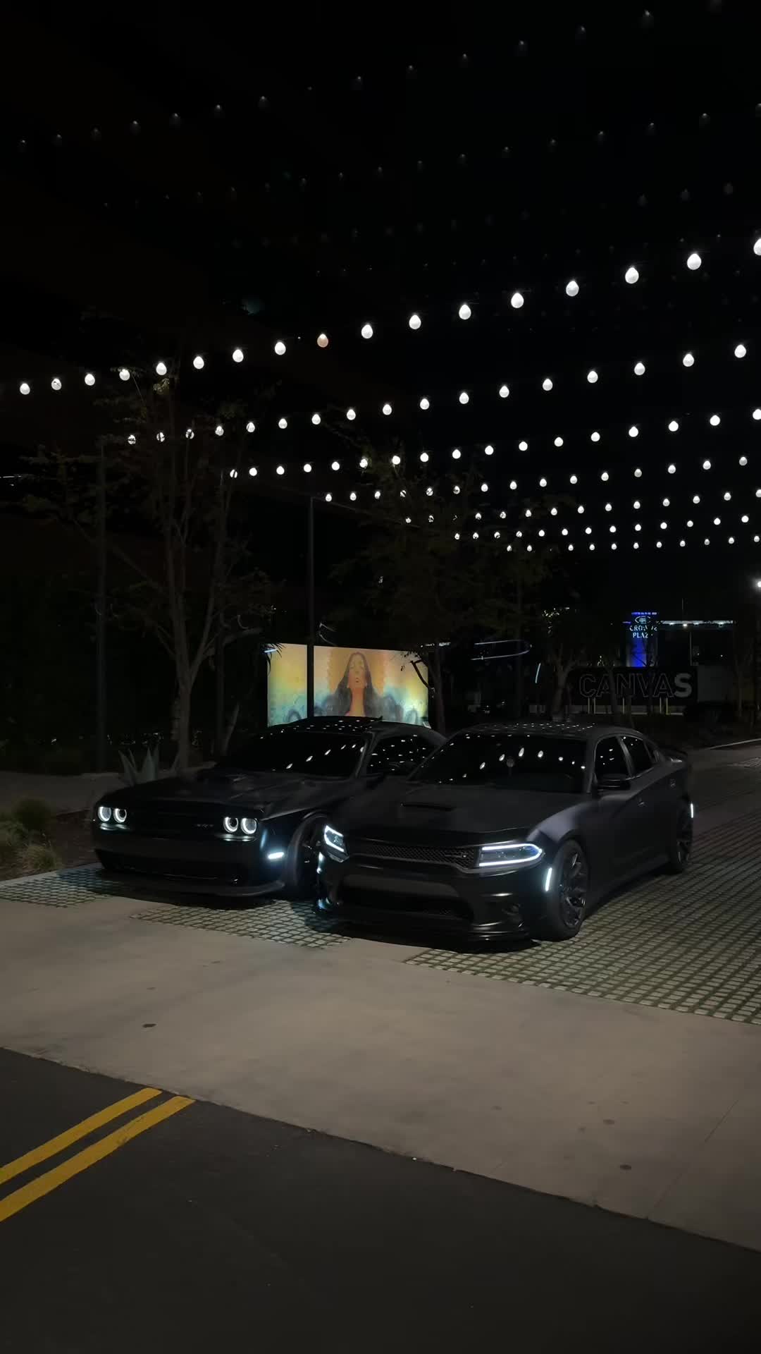 @Srtcam