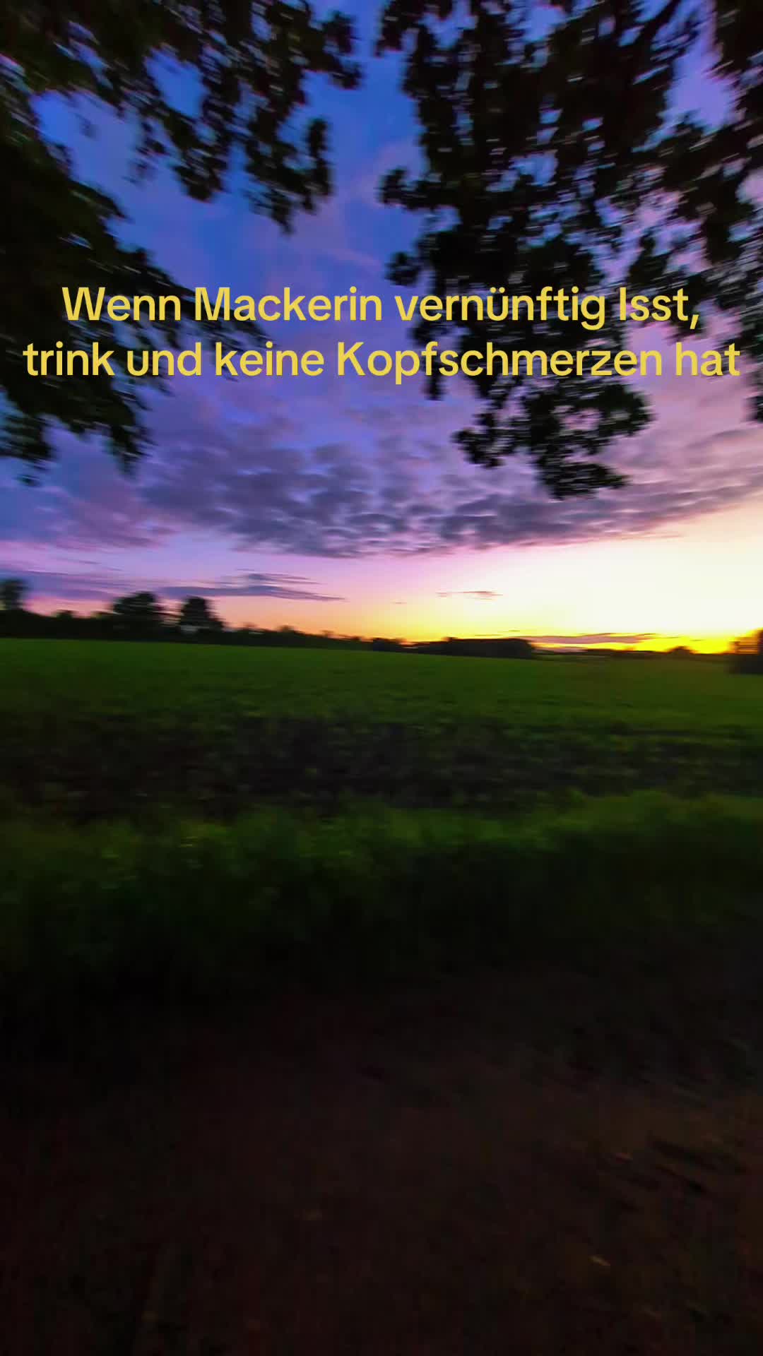 @⋆˚࿔ 𝐎𝐬𝐜𝐚𝐤𝐞𝜗𝜚˚