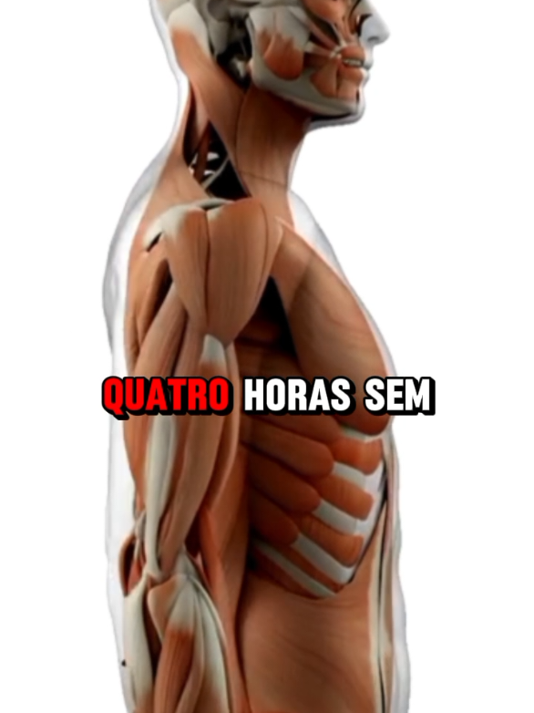 @Vida Saud&aacute;vel