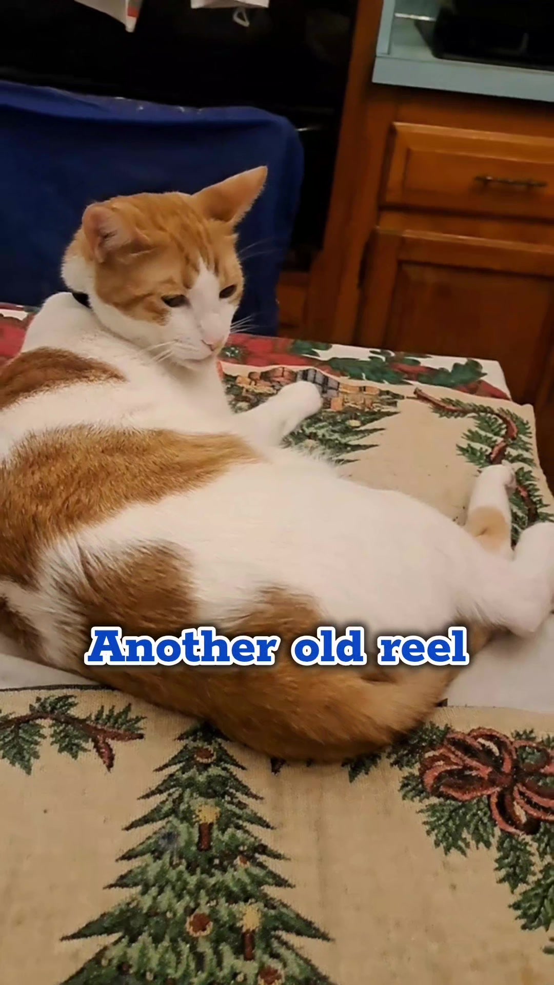 @Candice & Weasley