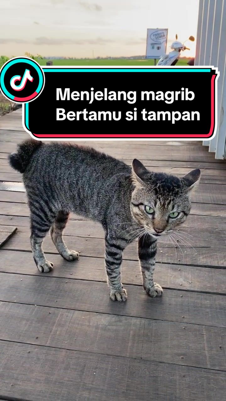 @ALuhh Kudakk