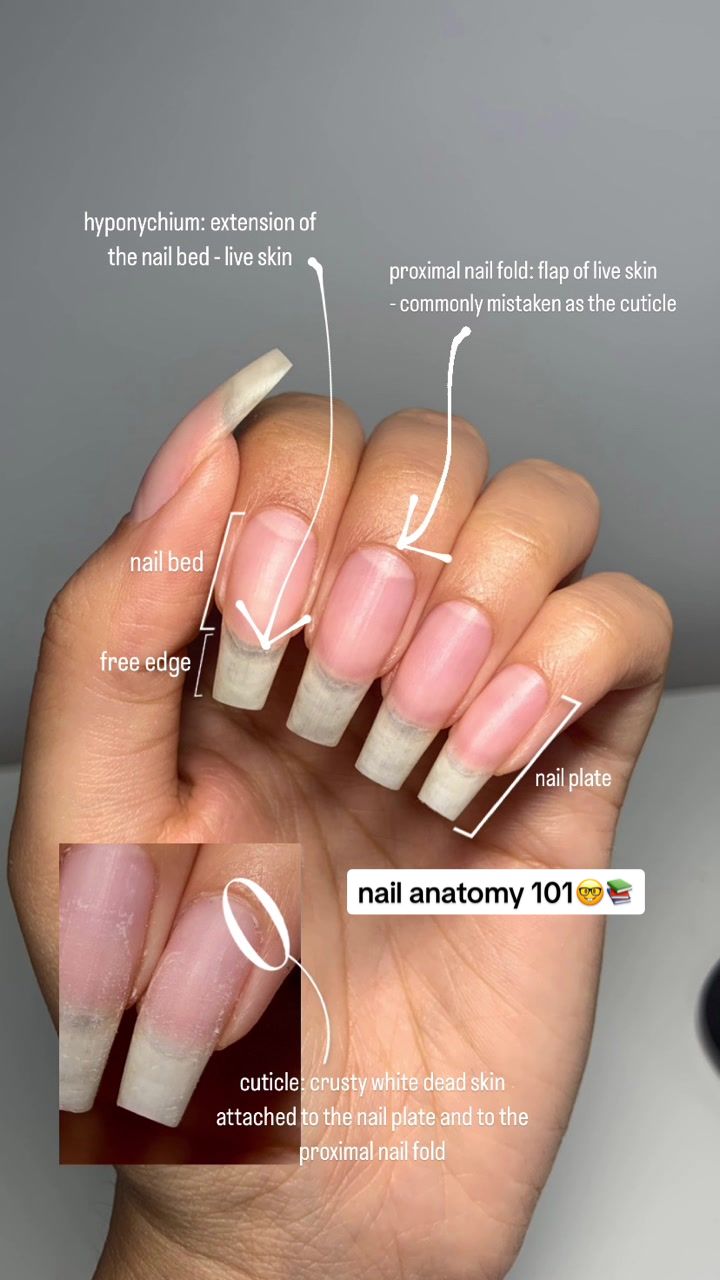 @denasnails ☆