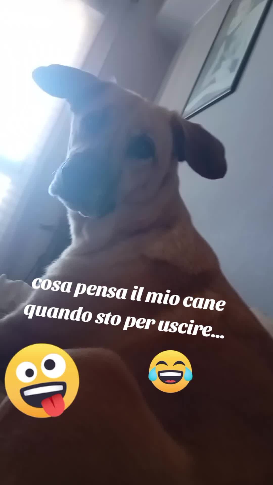 @mariagraziabrusch