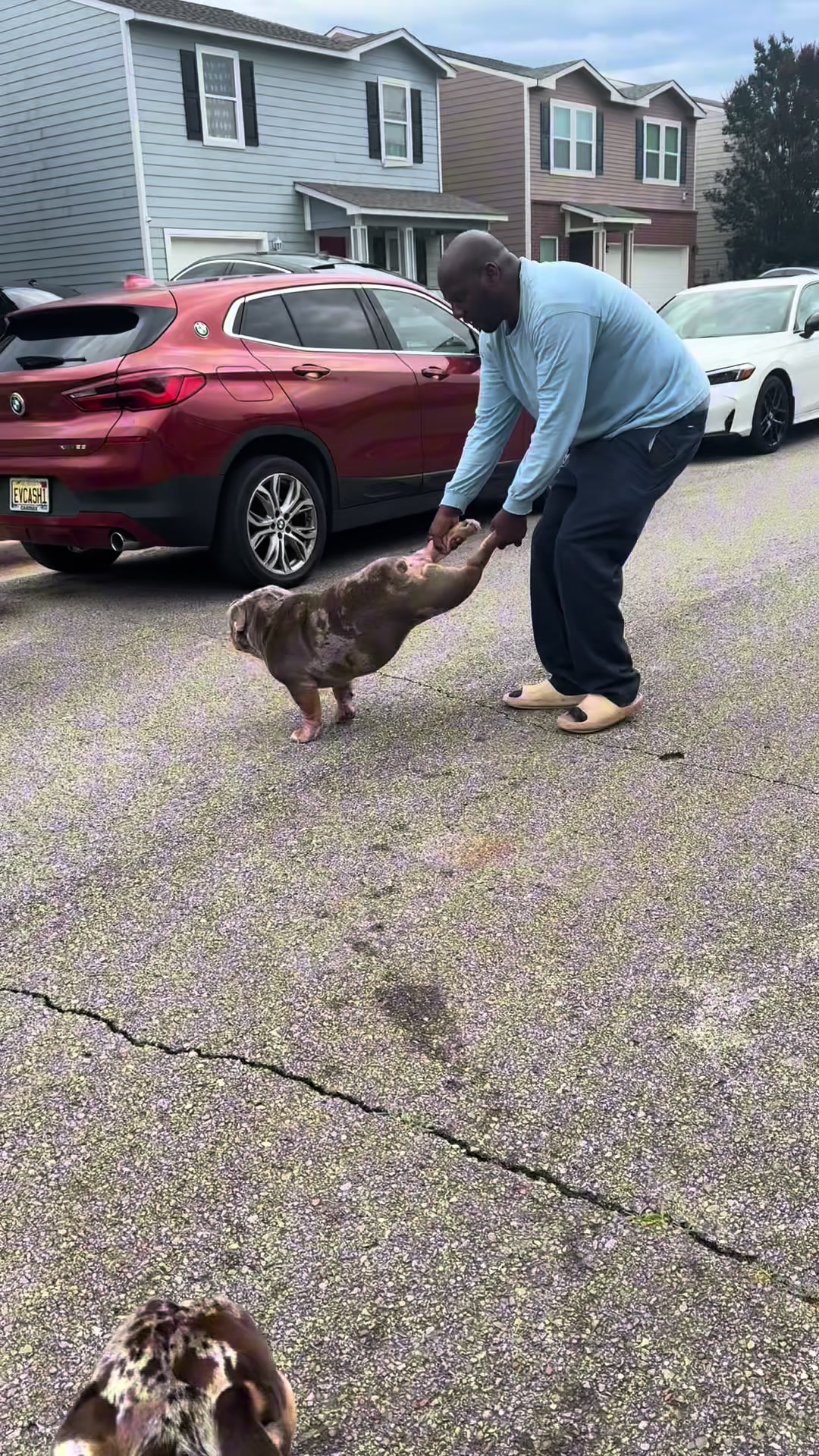 @barkleythabulldog