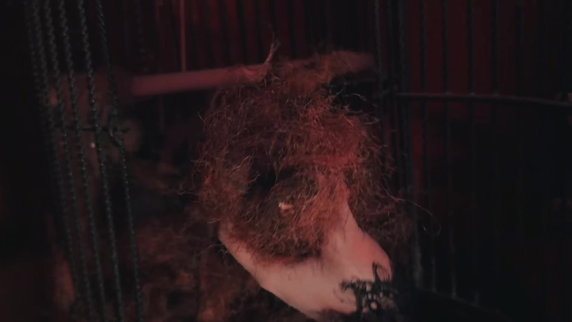 @TerrorintheCorn CO