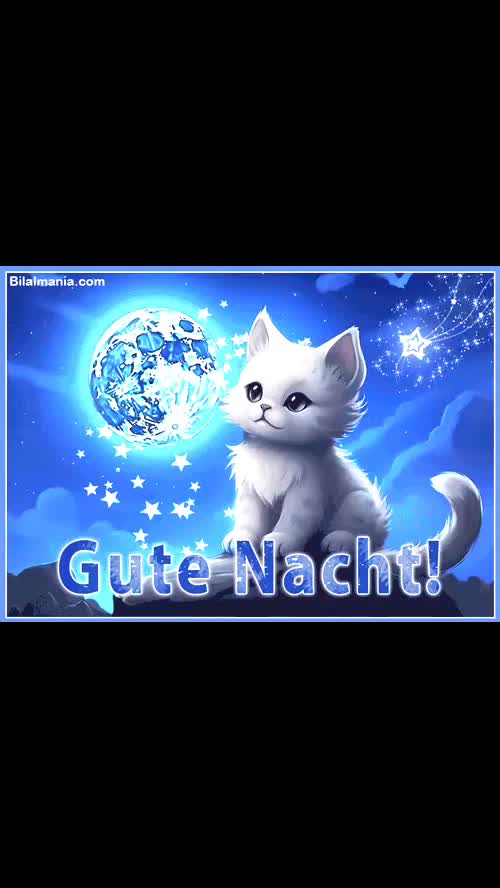@Mait