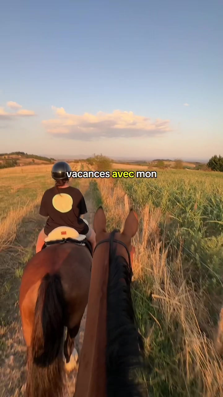 @Seren the pony 🐴