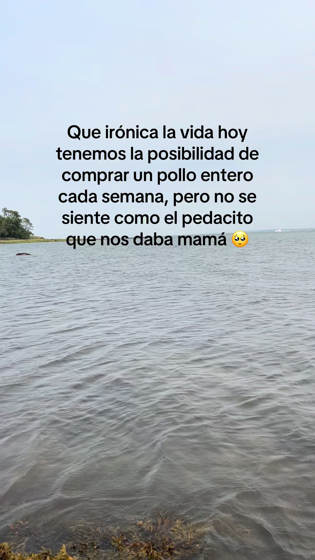 @Jaky Ovalle 🇬🇹🦋🌻