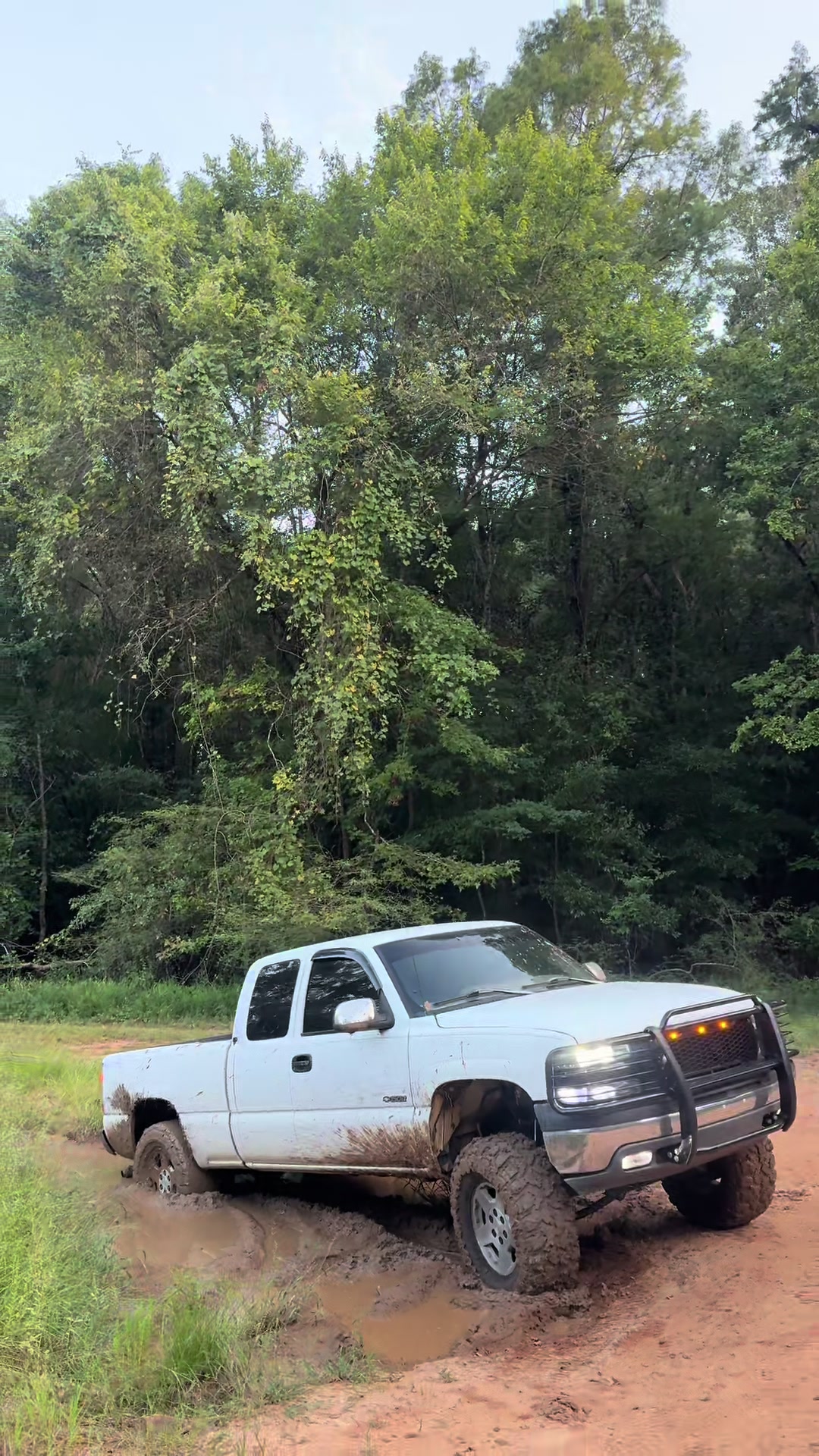 @𝓐𝓲𝓭𝓮𝓷 𝓖𝓸𝓾𝓵𝓭 🌾