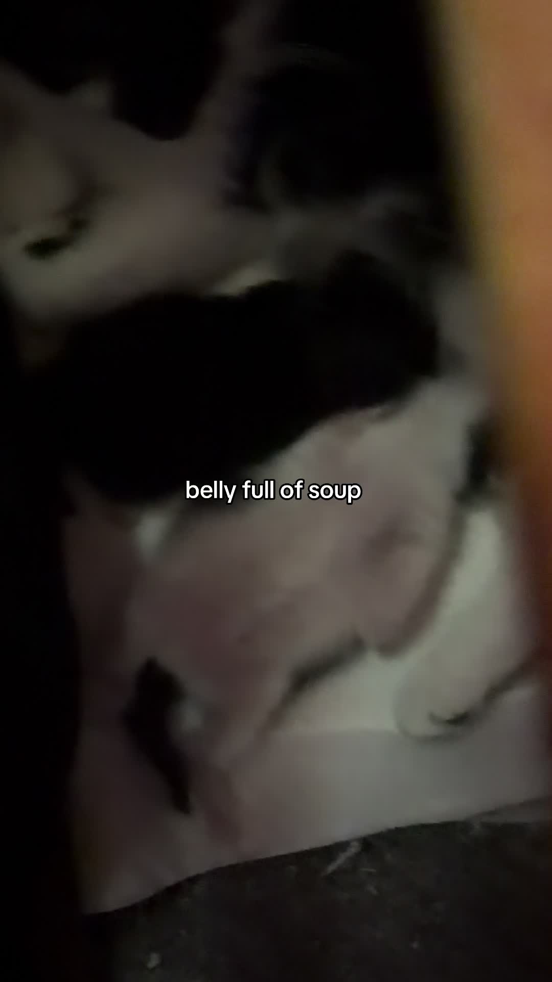 @juliasrealities
