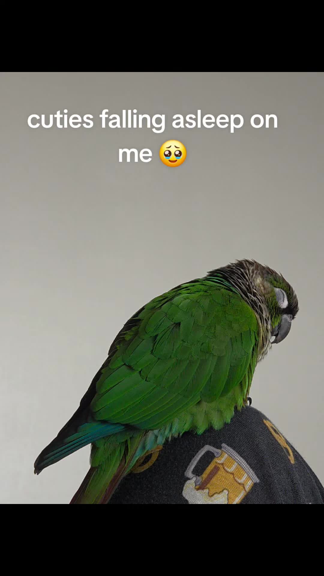 @HASAGI