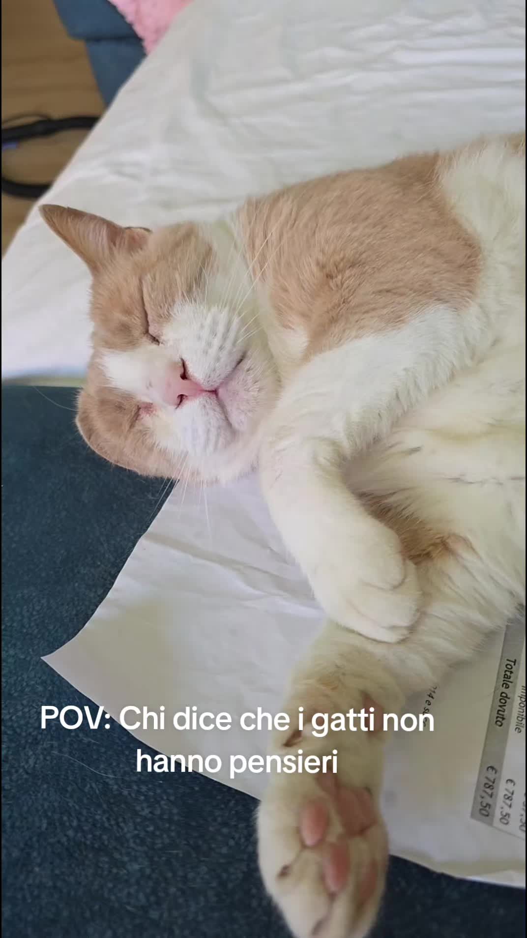@The_Milfluencer
