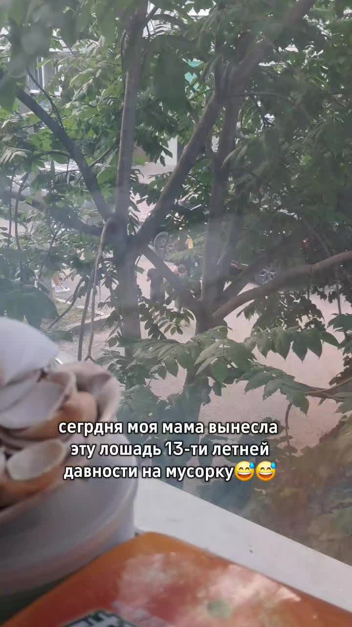 @к@риция!