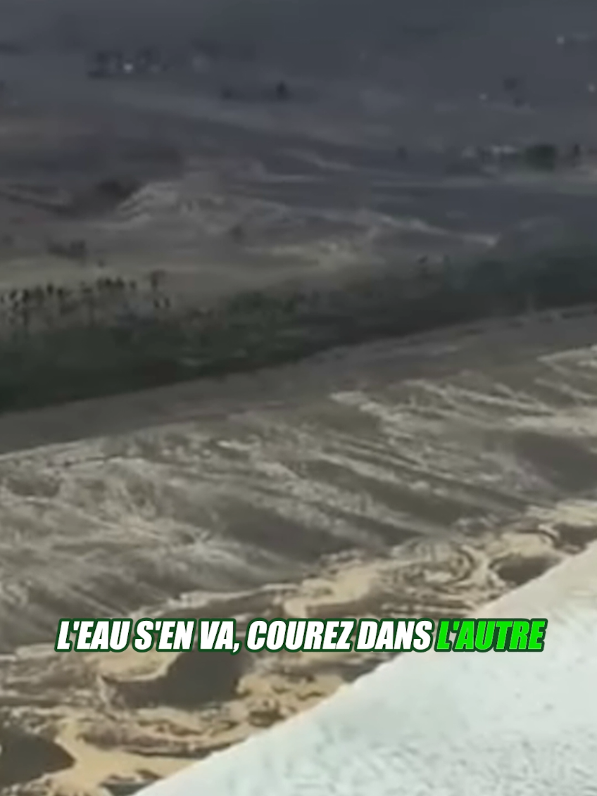 @Vico-Le Savais tu ?