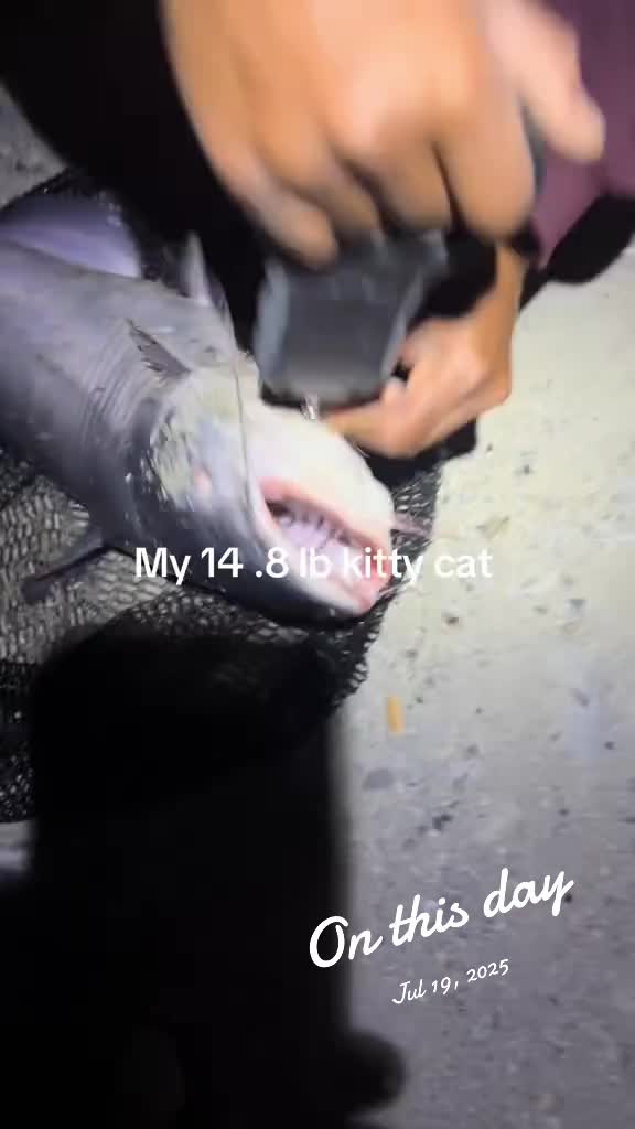 @Scoobs_fishing