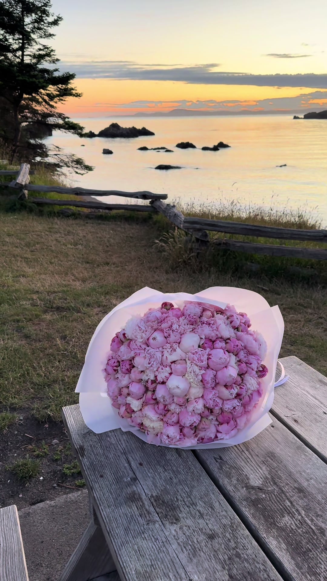 @solo.flowers