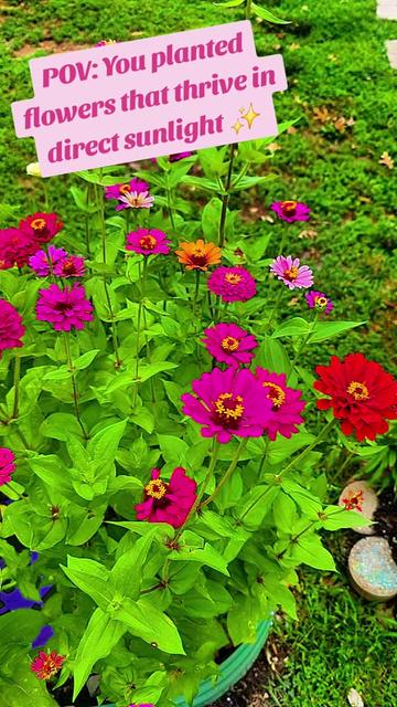 @Garden Friendly Jen