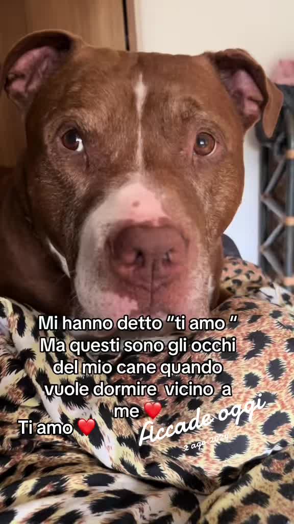 @Jessica 🖤