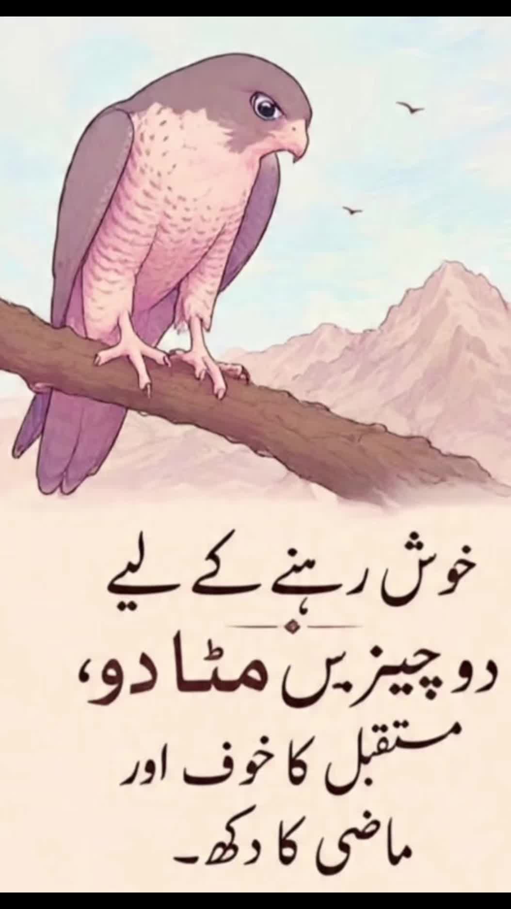 @Saba