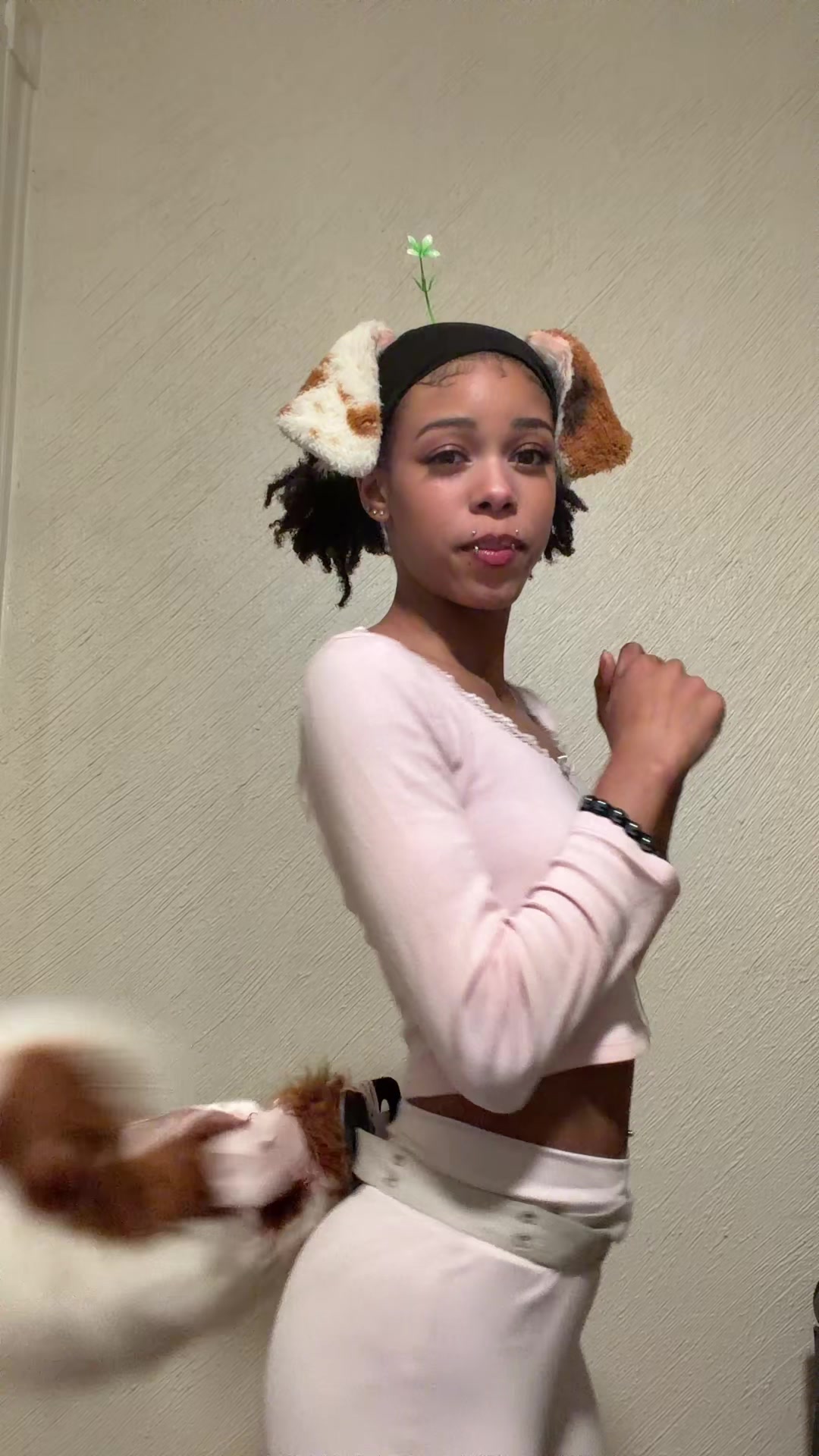 @ashhpuppii
