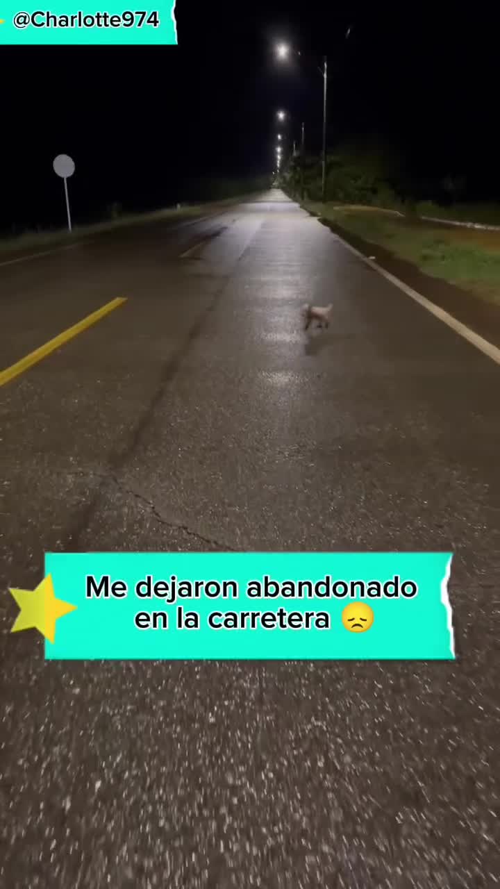 @Charlotte🐕&zwj;🦺🐈🐕🦬🐐🐎🐄🐒