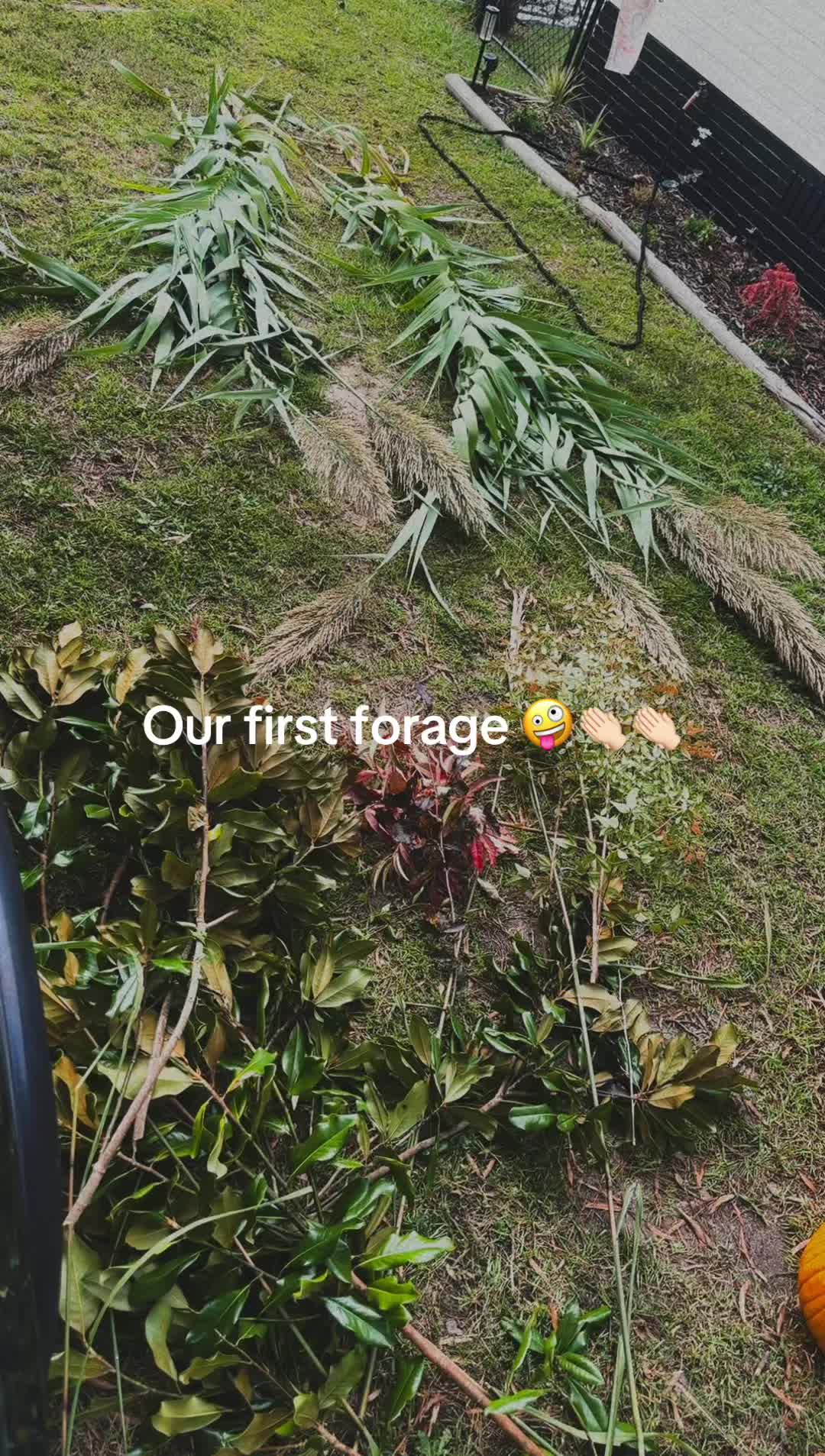 @chantal.elizabeth1
