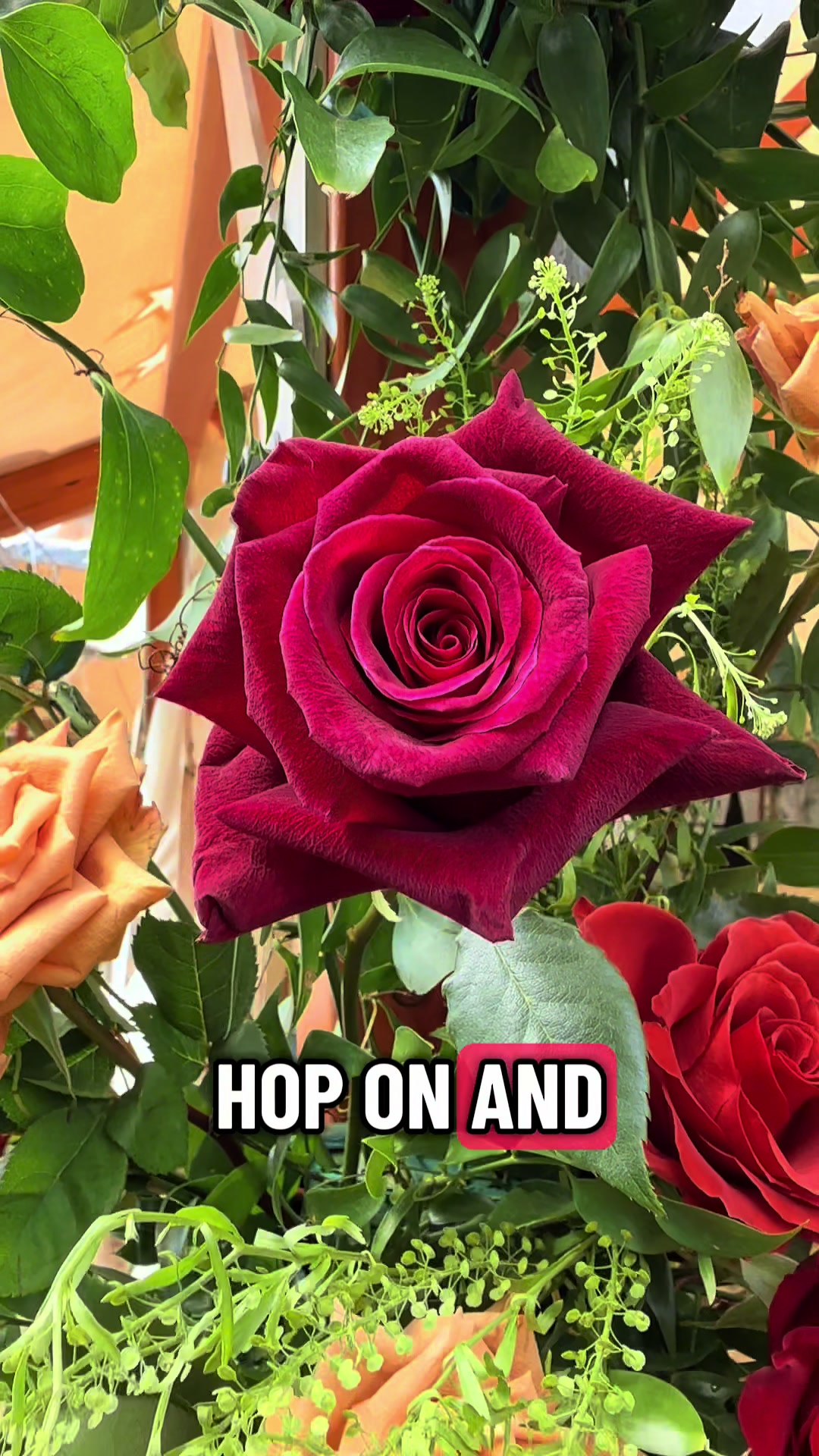 @Boston Flower Co.| Florist