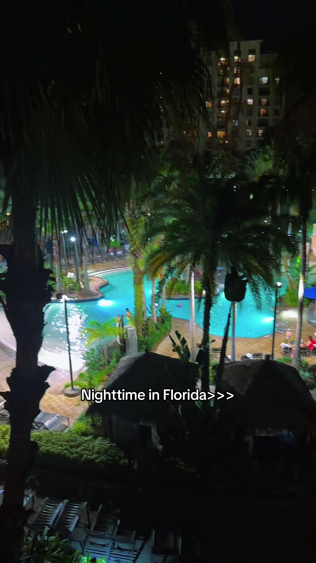 @EM🥥🌴🐚☀️🐬