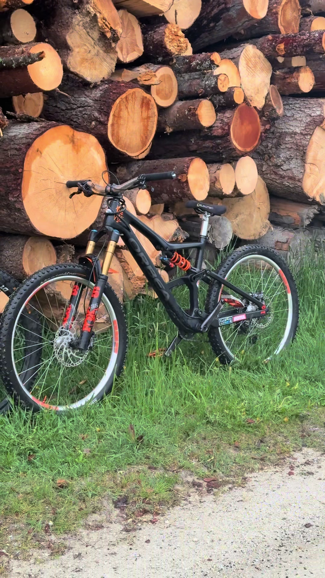 @Finn.On.Orbea