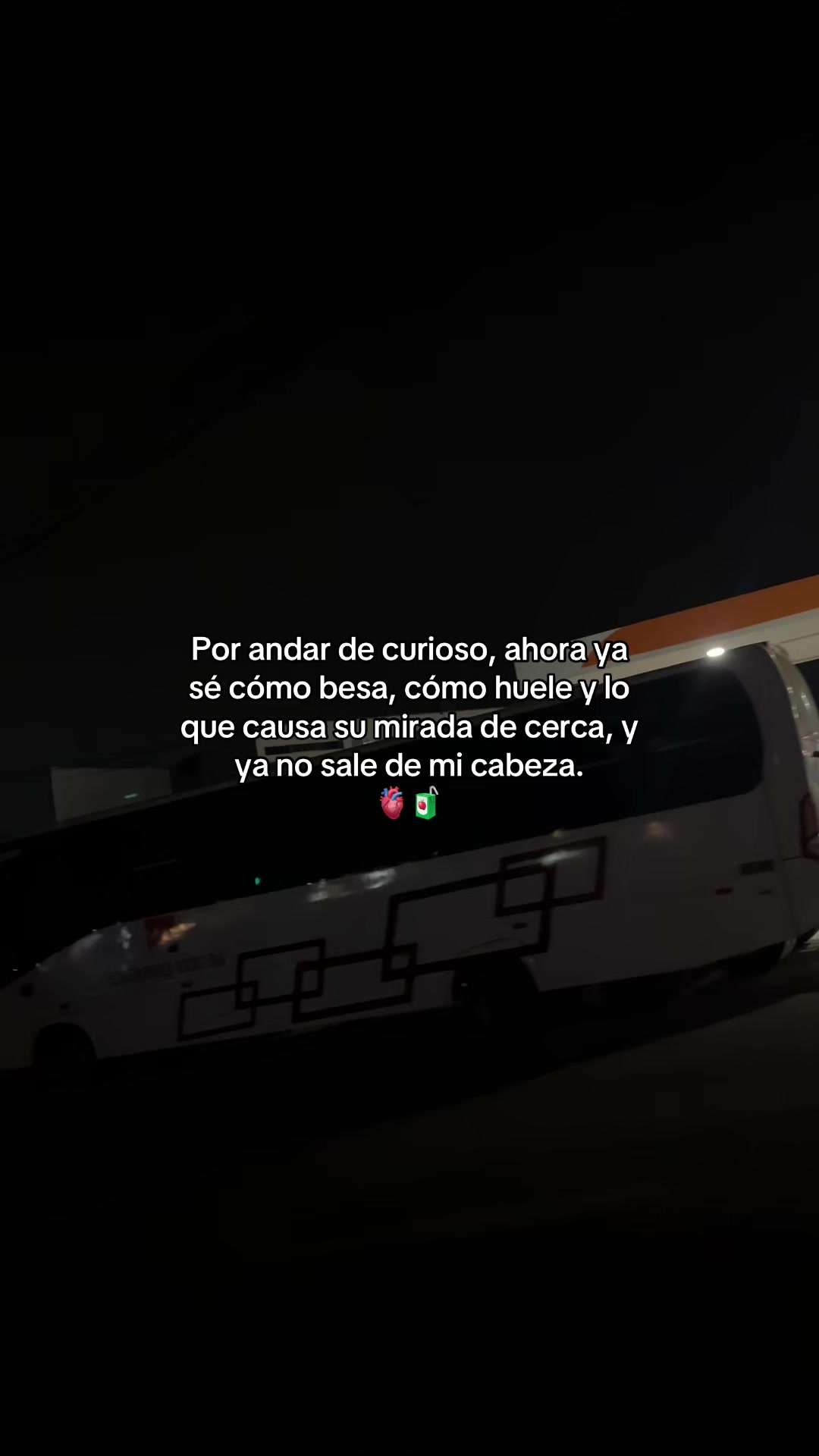 @Gatocix 🐱