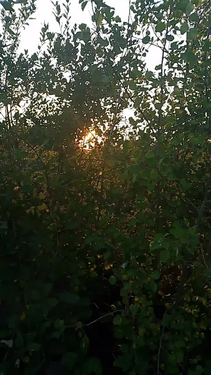 @MaGdaC