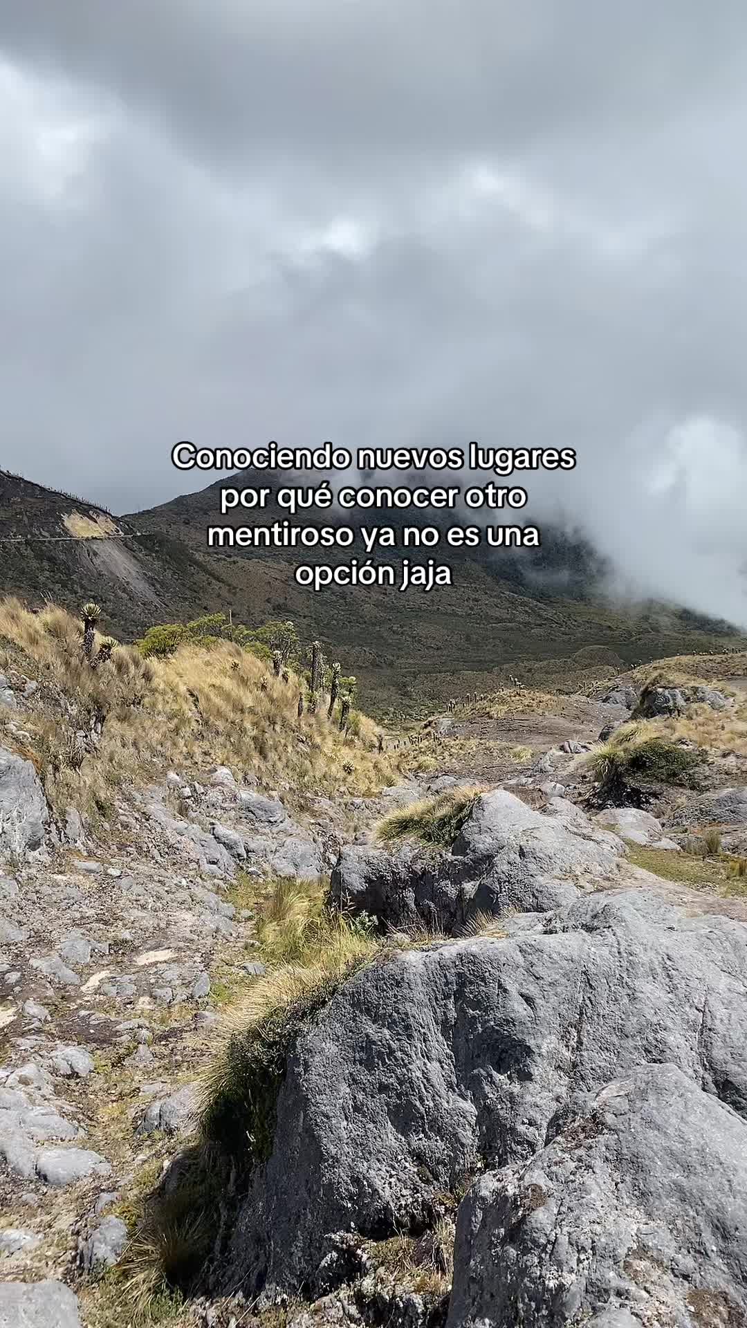 @sofiachi666