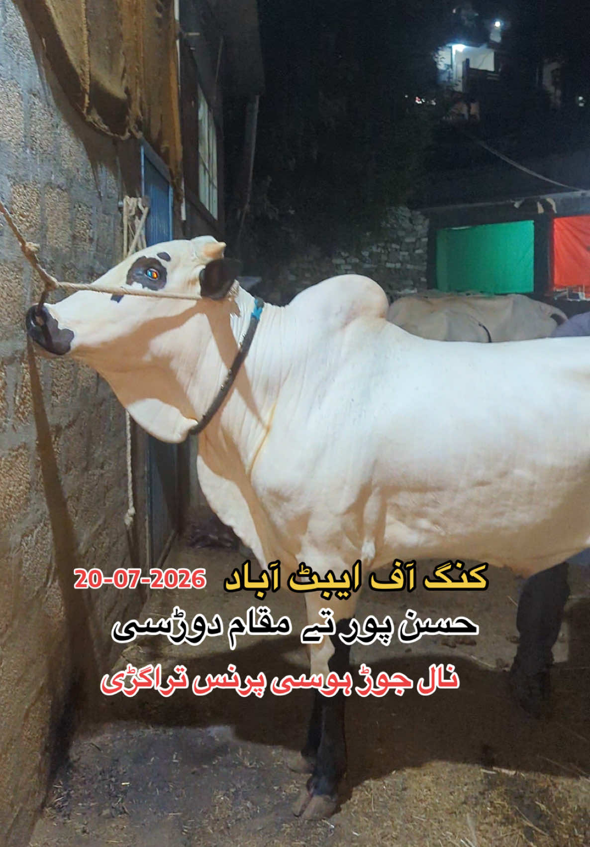 @محمد جنید (ایبٹ آباد)