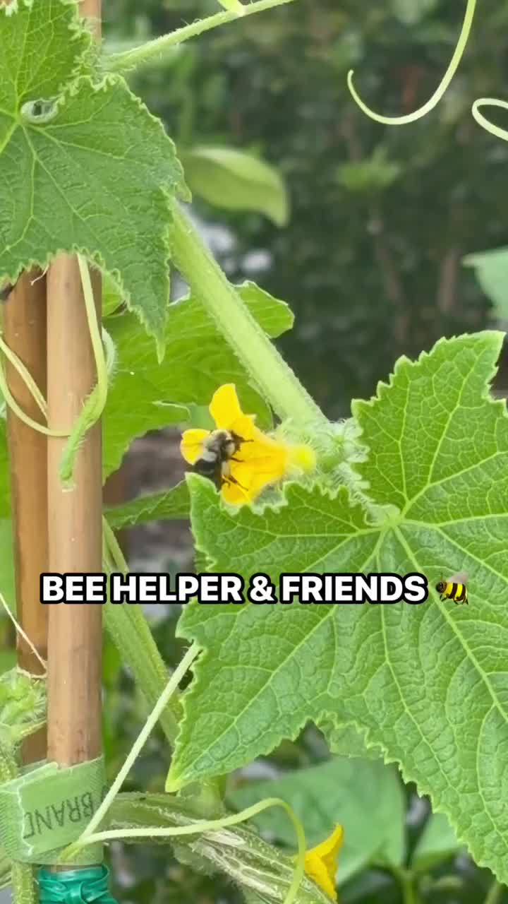 @MaErax2