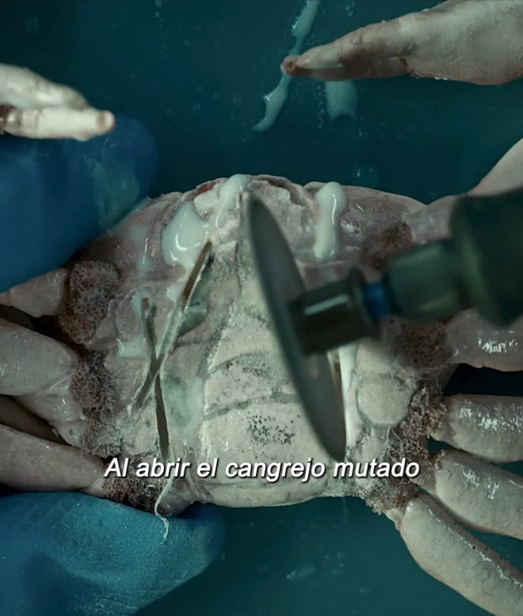 @Patrick X films 2