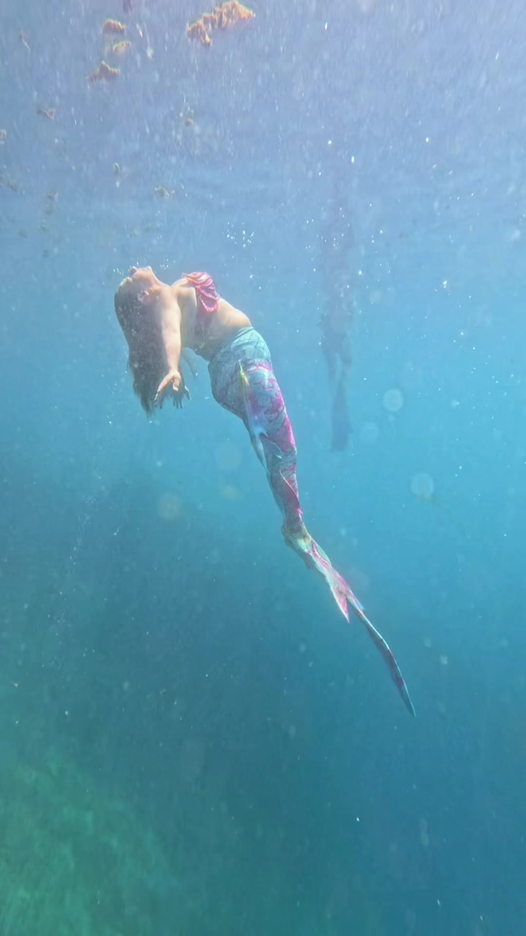 @Gulf Coast Mermaid 🧜♀️