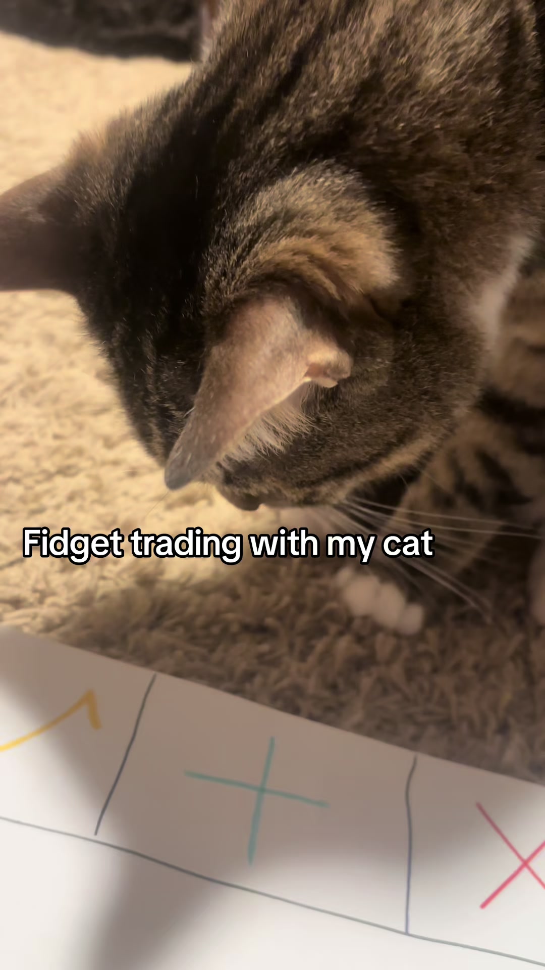 @⟡ ⋆˙Kari ⋆˙⟡