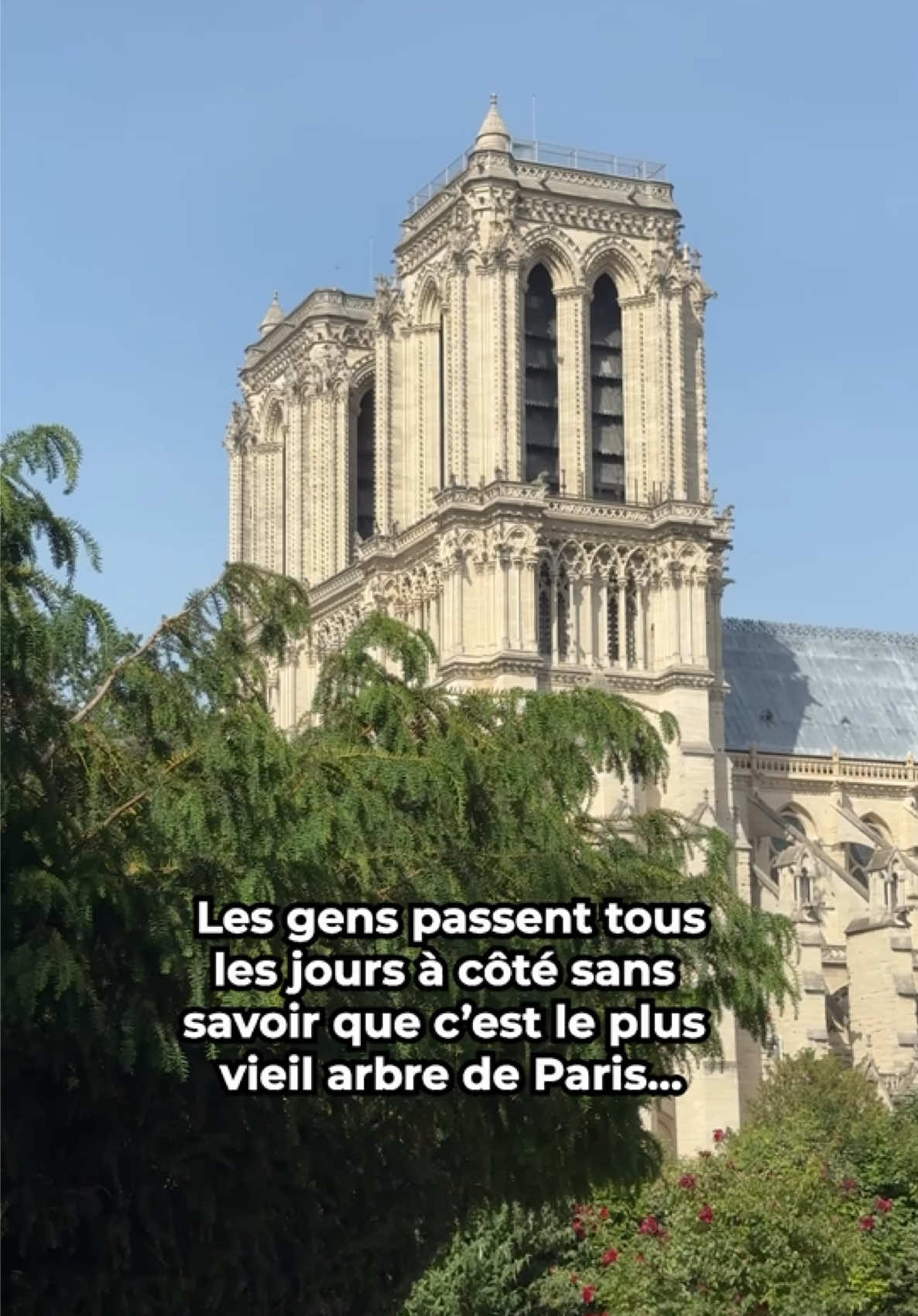 @maxoureport