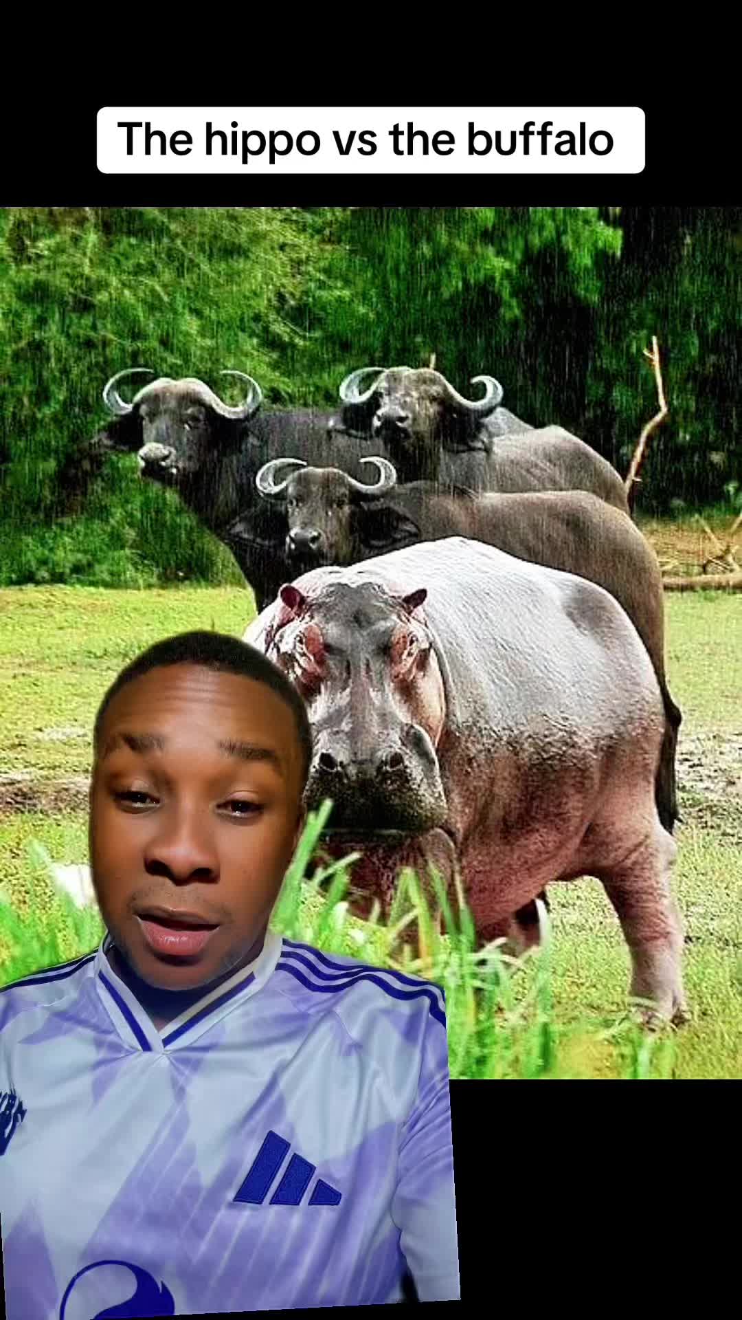 @TEN GOSSIPS