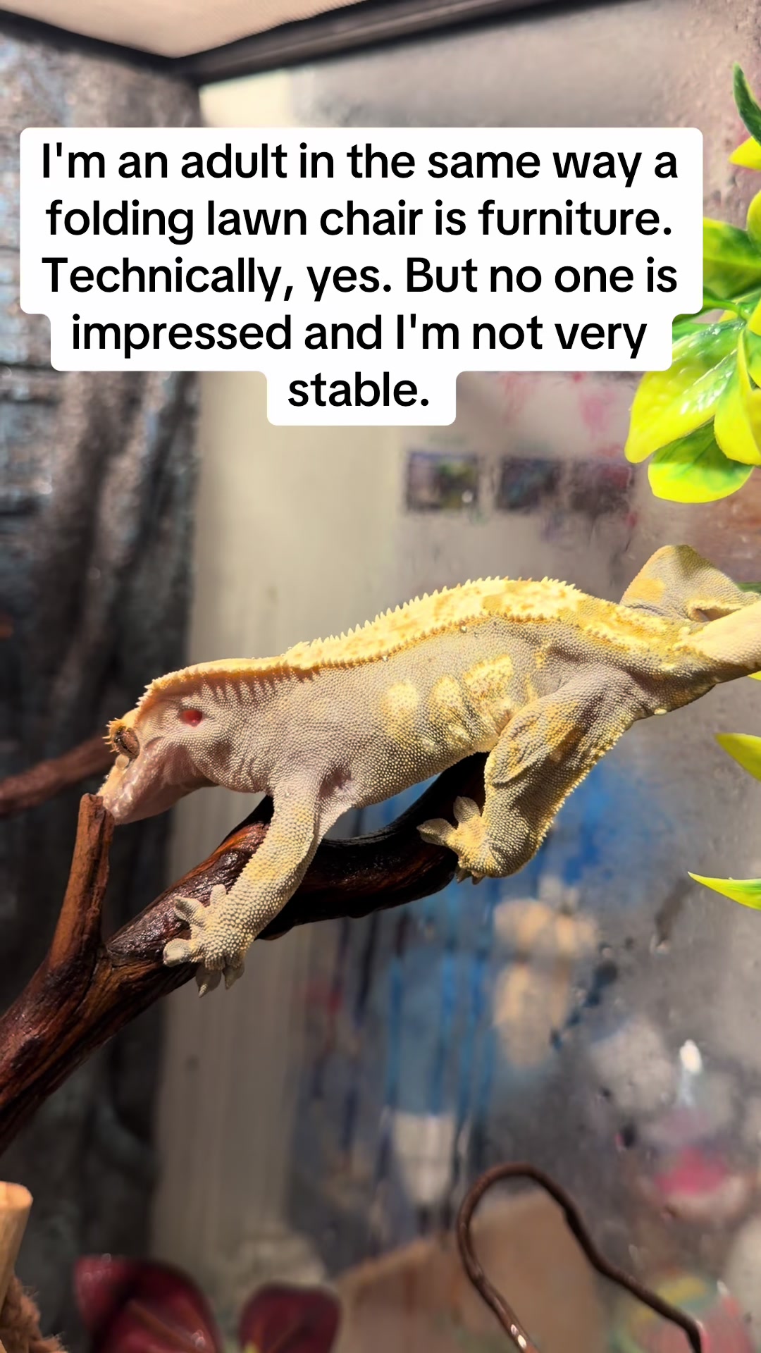 @LetsGoJoe
