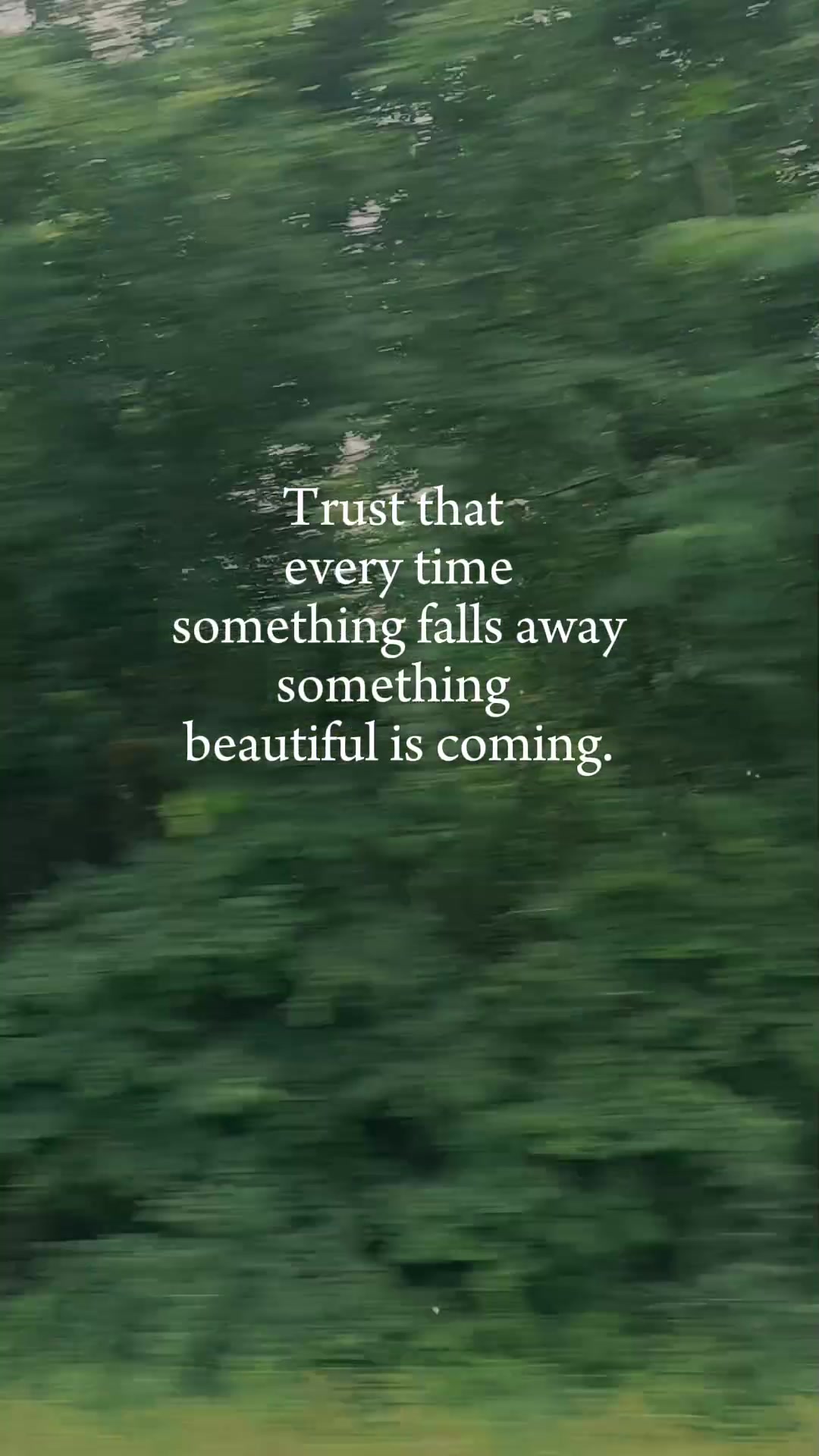 @aforestkeeper🌿