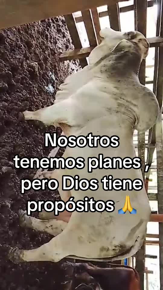 @Gaby herrera