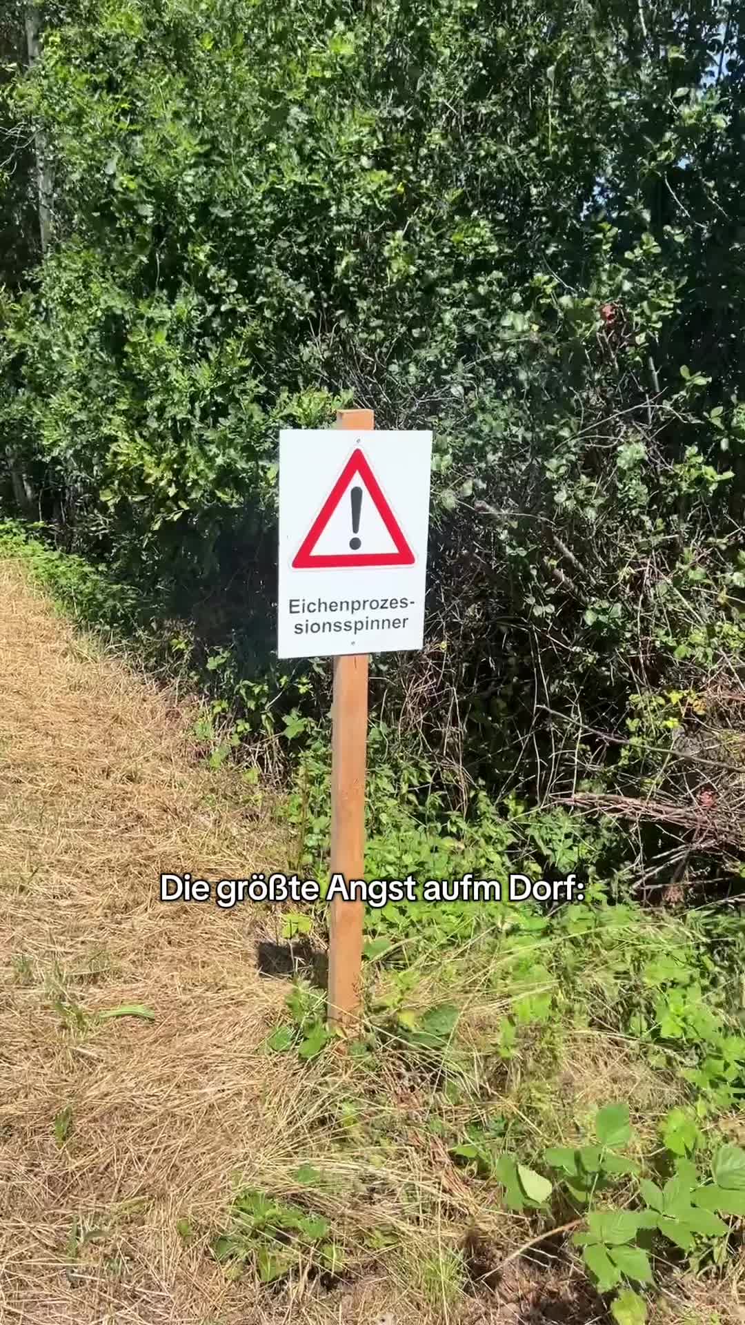 @DorfTok